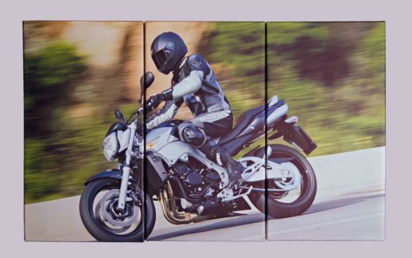 Tablou multicanvas "Motor de cursă" 3 piese personalizabil cu poza ta, 60x90 cm